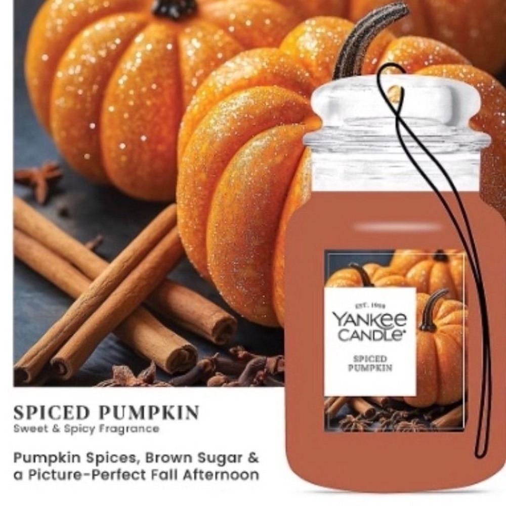 Yankee Candle Spiced Pumpkin Car Jar Hanging Air Freshener Scented New